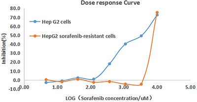 The Ribosomal Protein L28 Gene Induces Sorafenib Resistance in Hepatocellular Carcinoma